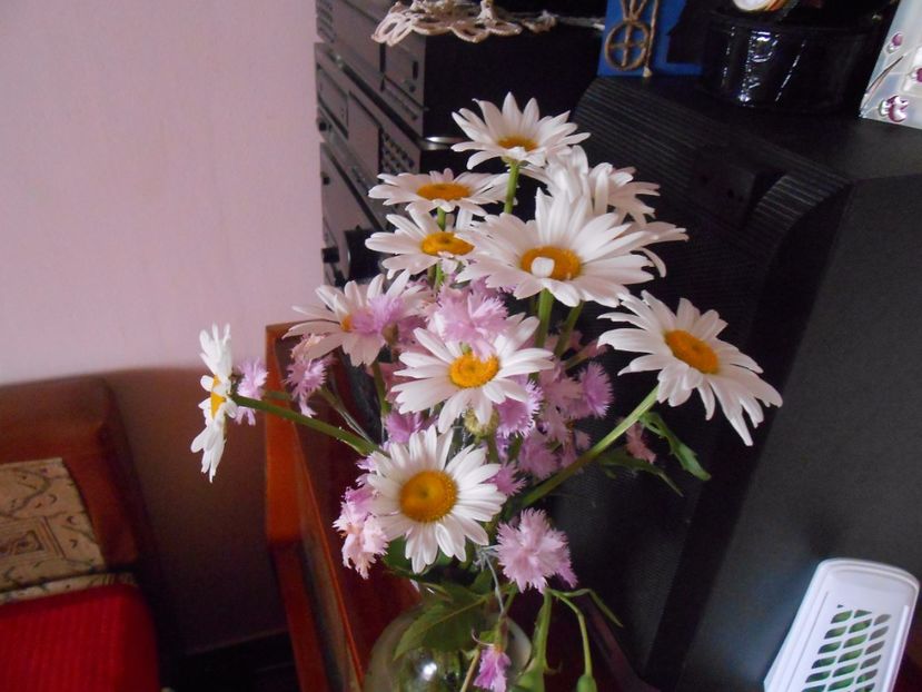  - Flori de camera