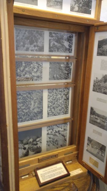  - Malvern Museum