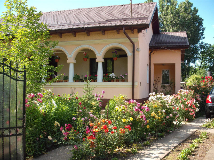  - Gradina 2017