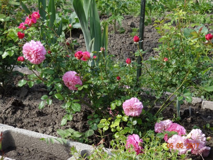  - Christopher Marlowe