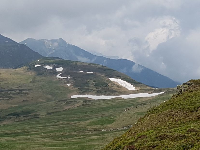 vedere spre Pietrosul Rodnei 2303m - Alte frumuseti in M-tii Rodnei 2017