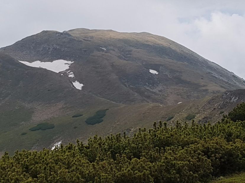 Vf Gargalau 2158m - Alte frumuseti in M-tii Rodnei 2017