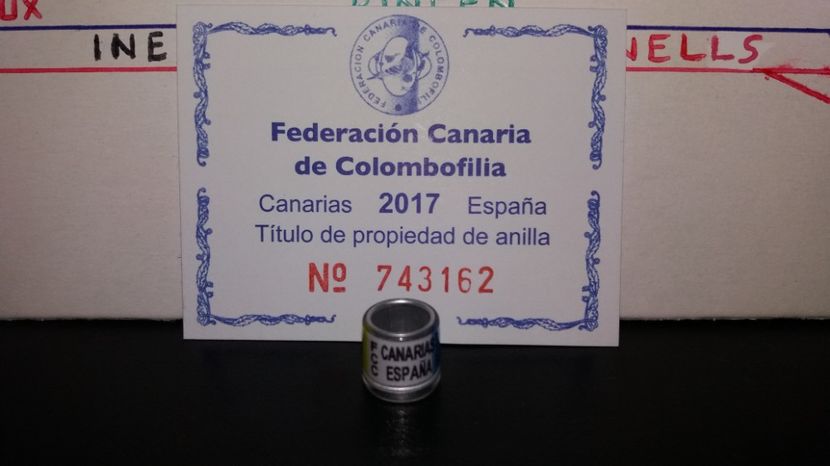  - Inele Spania - 38 piese