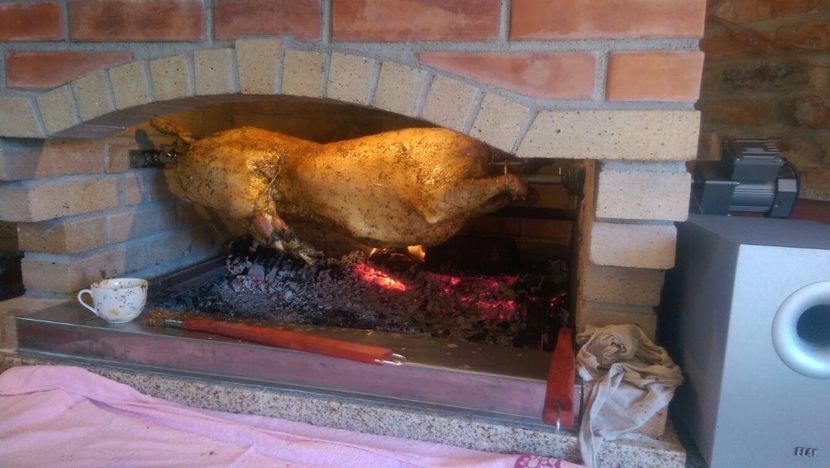 IMG-20170512-WA0002 - GRATAR SI PLITA LA FLORIN DIN EFORIE S