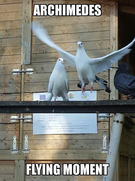 Archimedes flying-MEME - 7-Fanarts-7