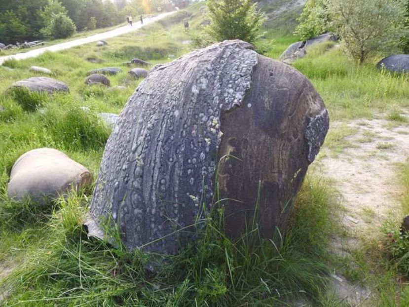  - Trovanți Costeşti