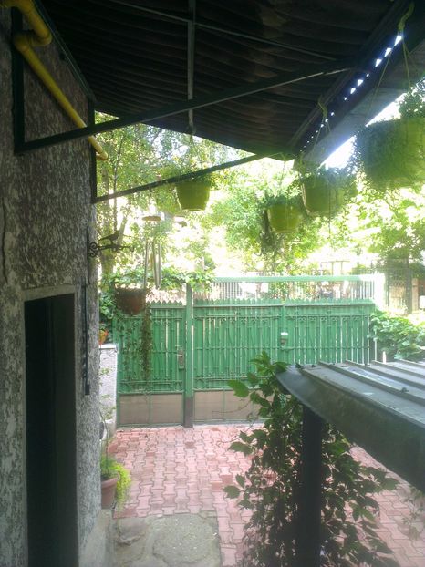  - 0 gradina mea 2017