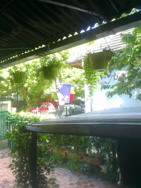  - 0 gradina mea 2017