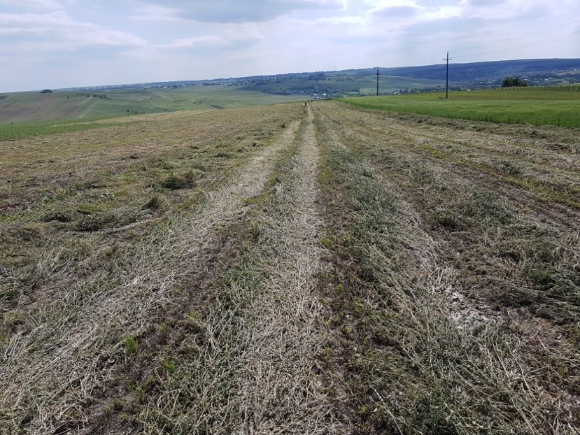 29.05.2017 - 0---------------ADAPOST BALOTI