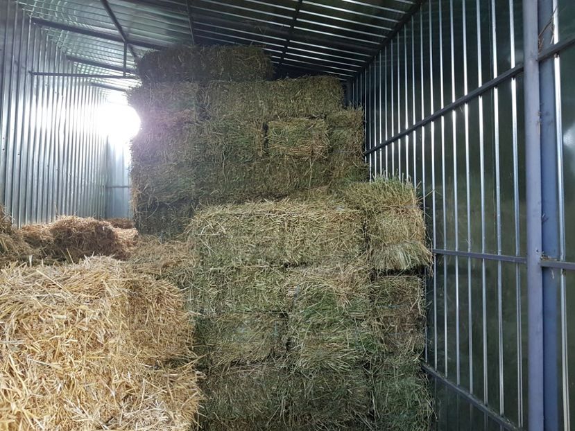 cca. 130 baloti - 0---------------ADAPOST BALOTI