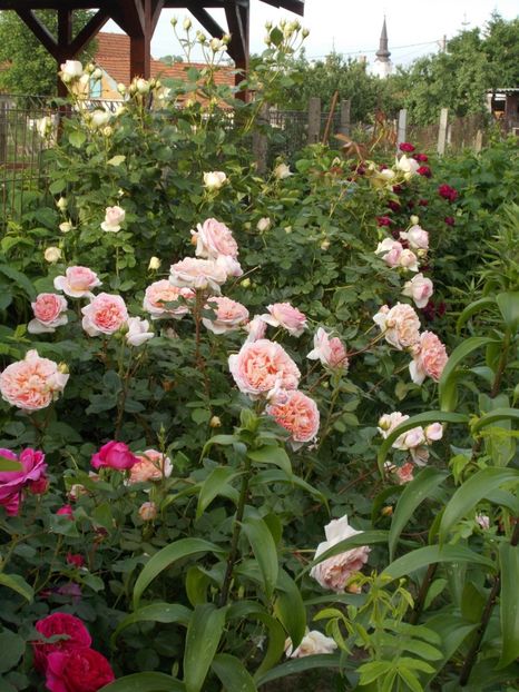  - Abraham Darby