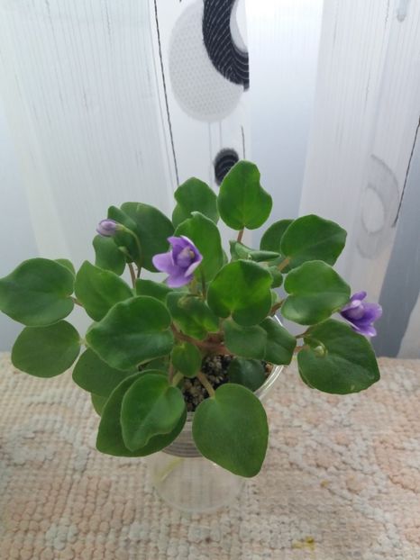 7 iunie - Rob s Humpty Doo Sport