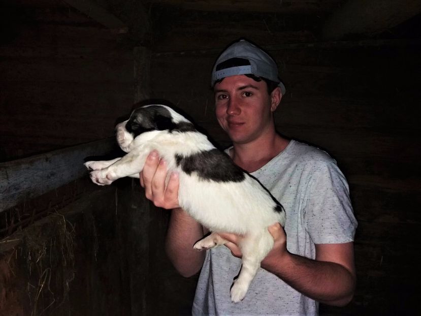 WhatsApp Image 2017-05-21 at 14.42.41 - Catei Ciobanesc de Bucovina 2017