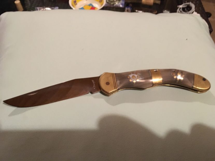 Brișcă ciobănească - Ocupațiuni - Hobby-uri