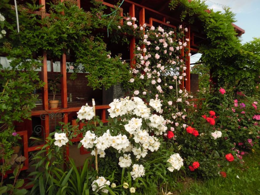  - Hybrid mosc Sally Holmes