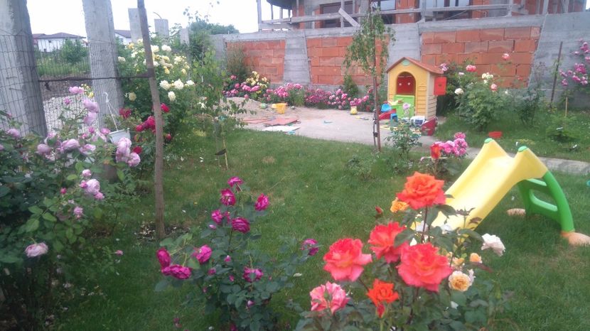 Iunie 2017 - Cum a evoluat gradina mea