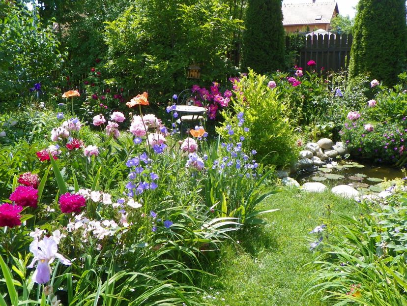 7 iun (12) - Gradina 2017