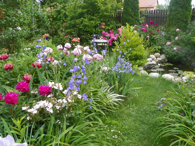 7 iun (73) - Gradina 2017