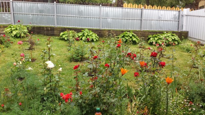 1497002232155-350155261 - 000000000000001   GRADINA MEA