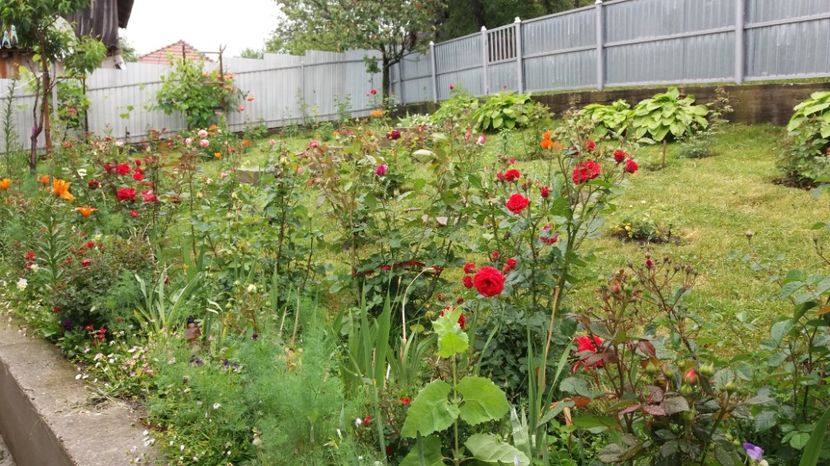 1497002254936-1658901677 - 000000000000001   GRADINA MEA