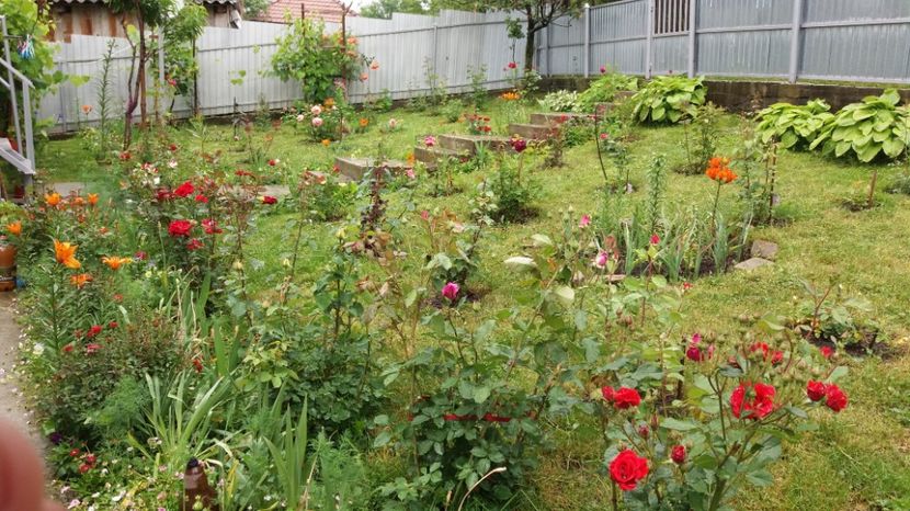  - 000000000000001   GRADINA MEA