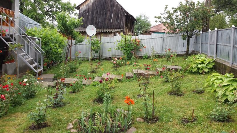  - 000000000000001   GRADINA MEA