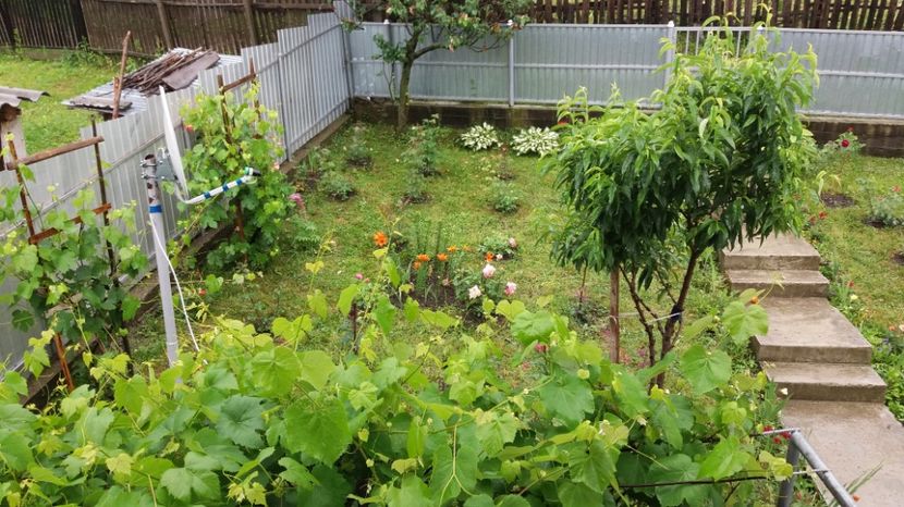  - 000000000000001   GRADINA MEA