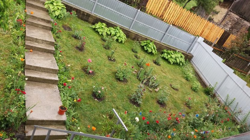  - 000000000000001   GRADINA MEA