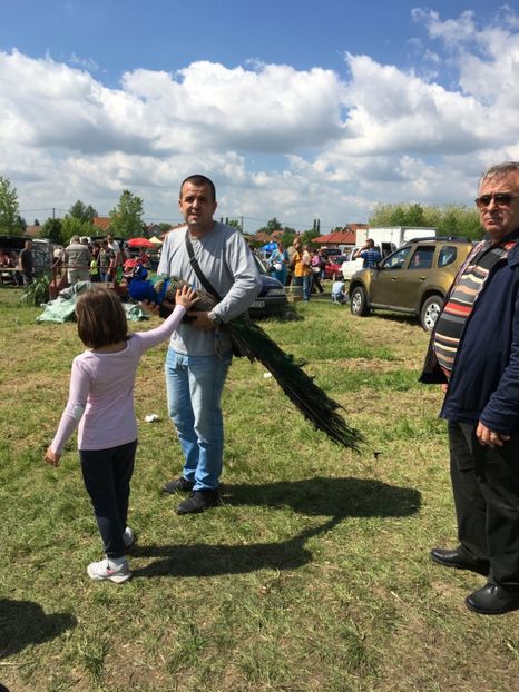  - TARG MONOR 14 05 2017