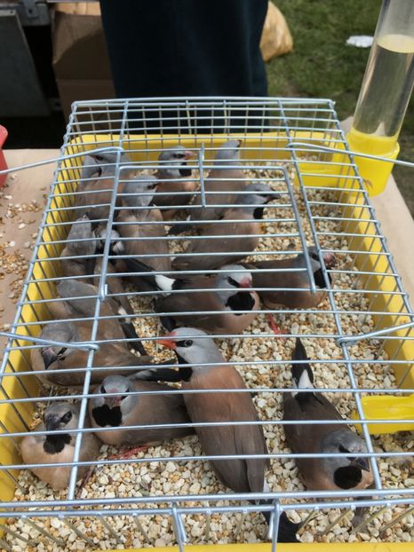  - TARG MONOR 14 05 2017