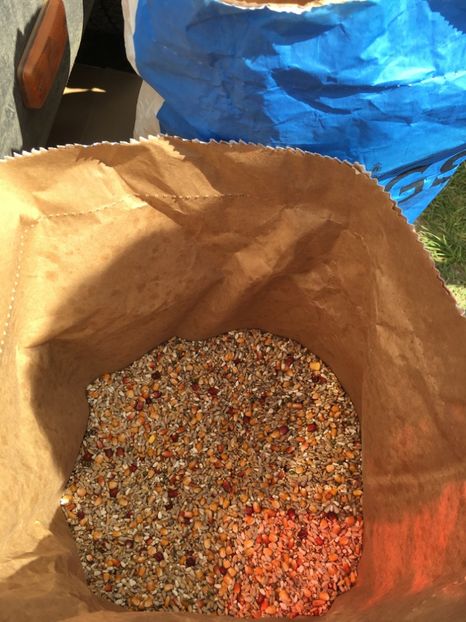  - TARG MONOR 14 05 2017