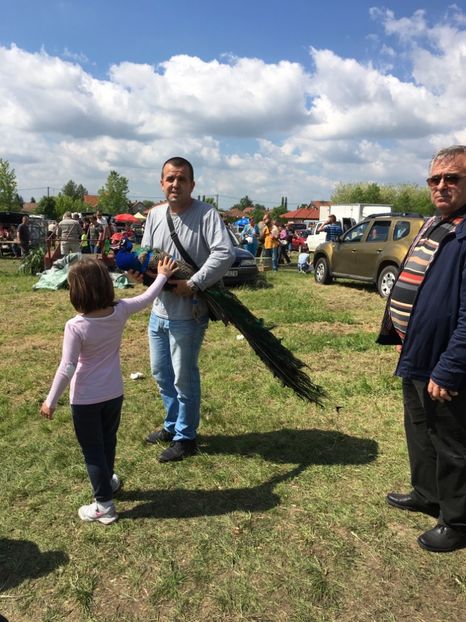  - TARG MONOR 14 05 2017