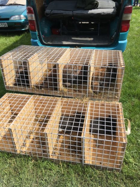  - TARG MONOR 14 05 2017