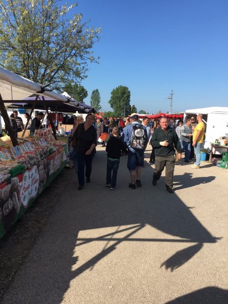  - TARG MONOR 14 05 2017