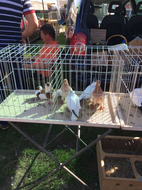  - TARG MONOR 14 05 2017