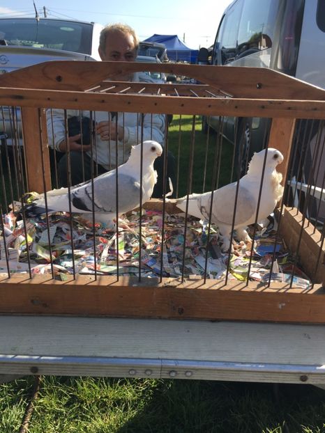  - TARG MONOR 14 05 2017