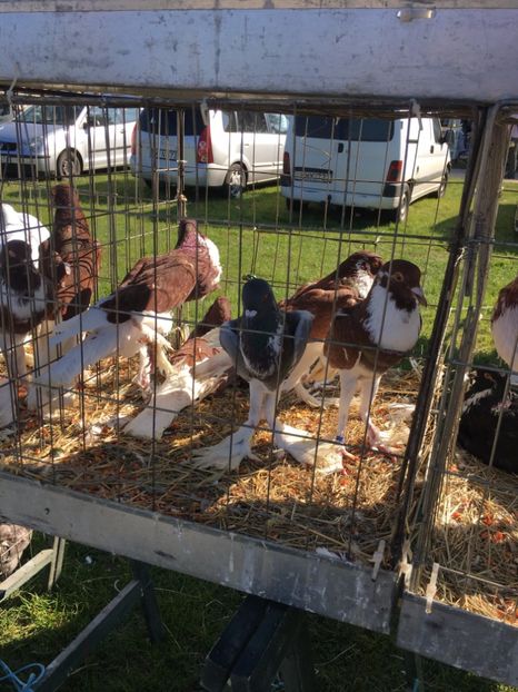  - TARG MONOR 14 05 2017