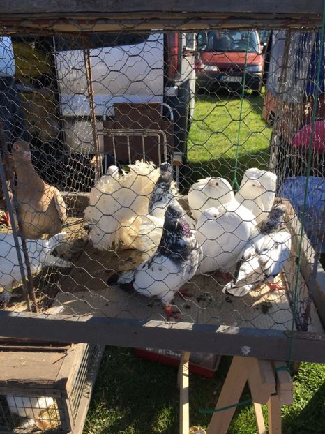  - TARG MONOR 14 05 2017