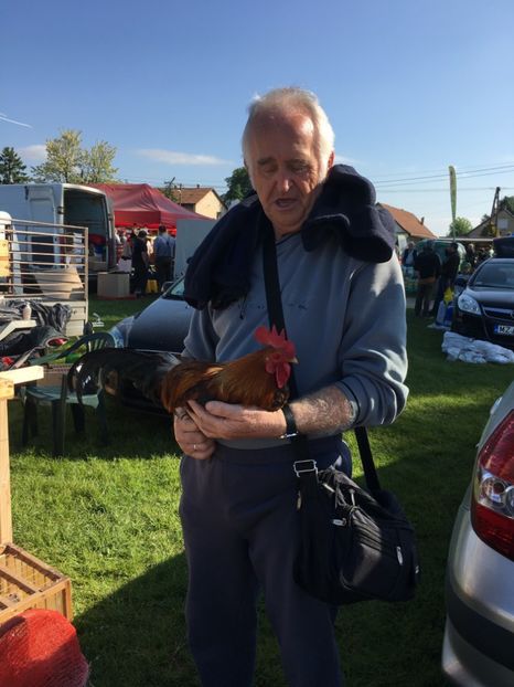  - TARG MONOR 14 05 2017