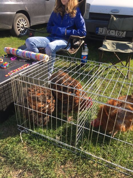  - TARG MONOR 14 05 2017