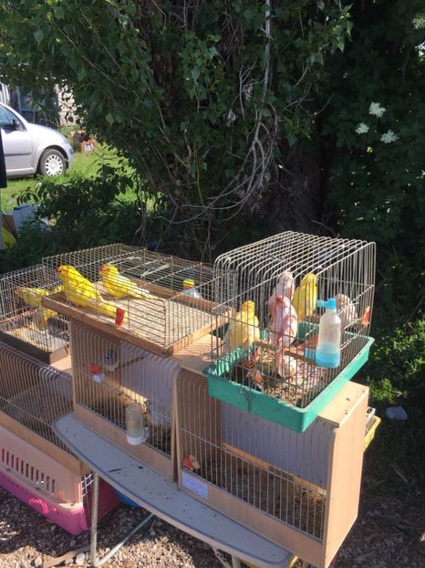  - TARG MONOR 14 05 2017