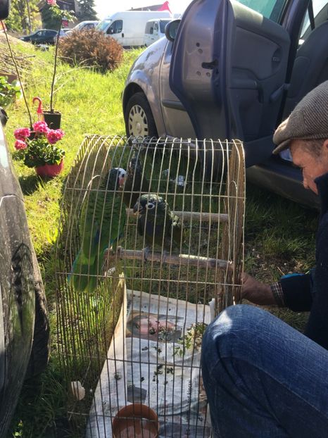  - TARG MONOR 14 05 2017