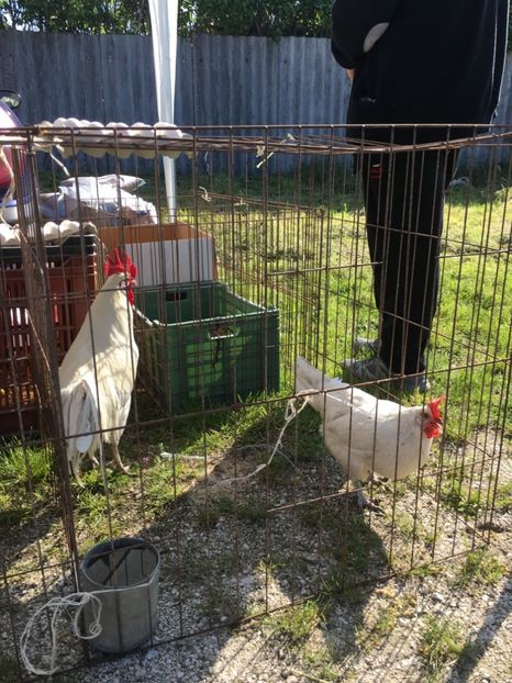  - TARG MONOR 14 05 2017