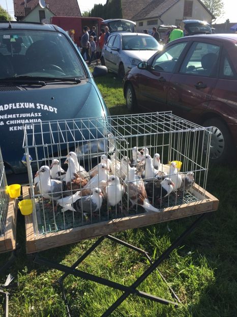  - TARG MONOR 14 05 2017