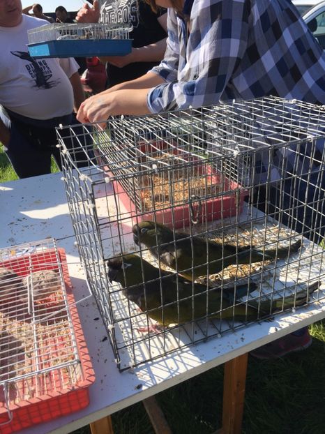  - TARG MONOR 14 05 2017