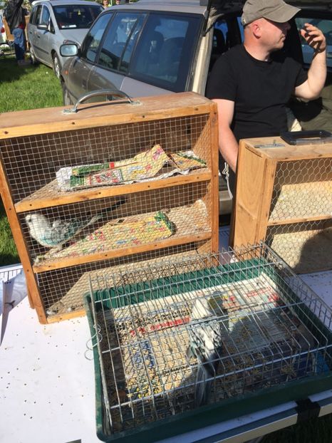  - TARG MONOR 14 05 2017