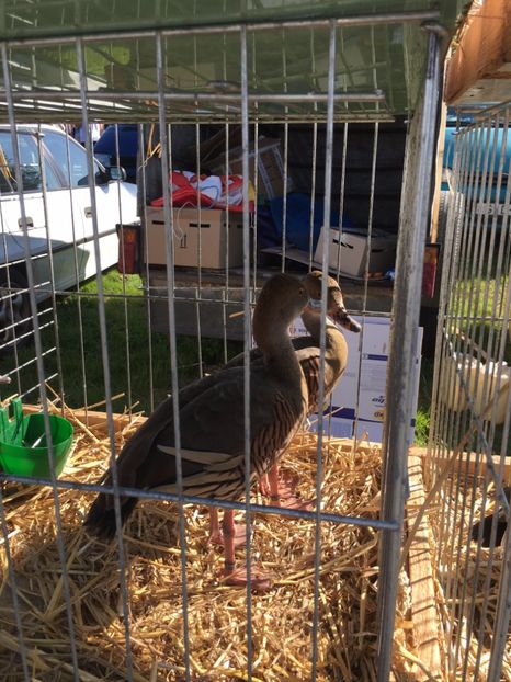  - TARG MONOR 14 05 2017