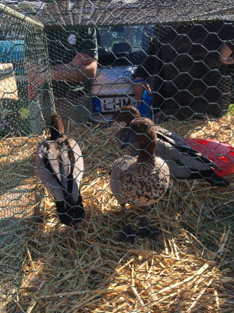  - TARG MONOR 14 05 2017