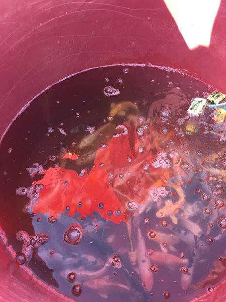  - TARG MONOR 14 05 2017