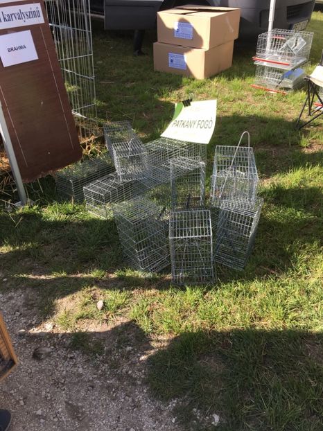  - TARG MONOR 14 05 2017